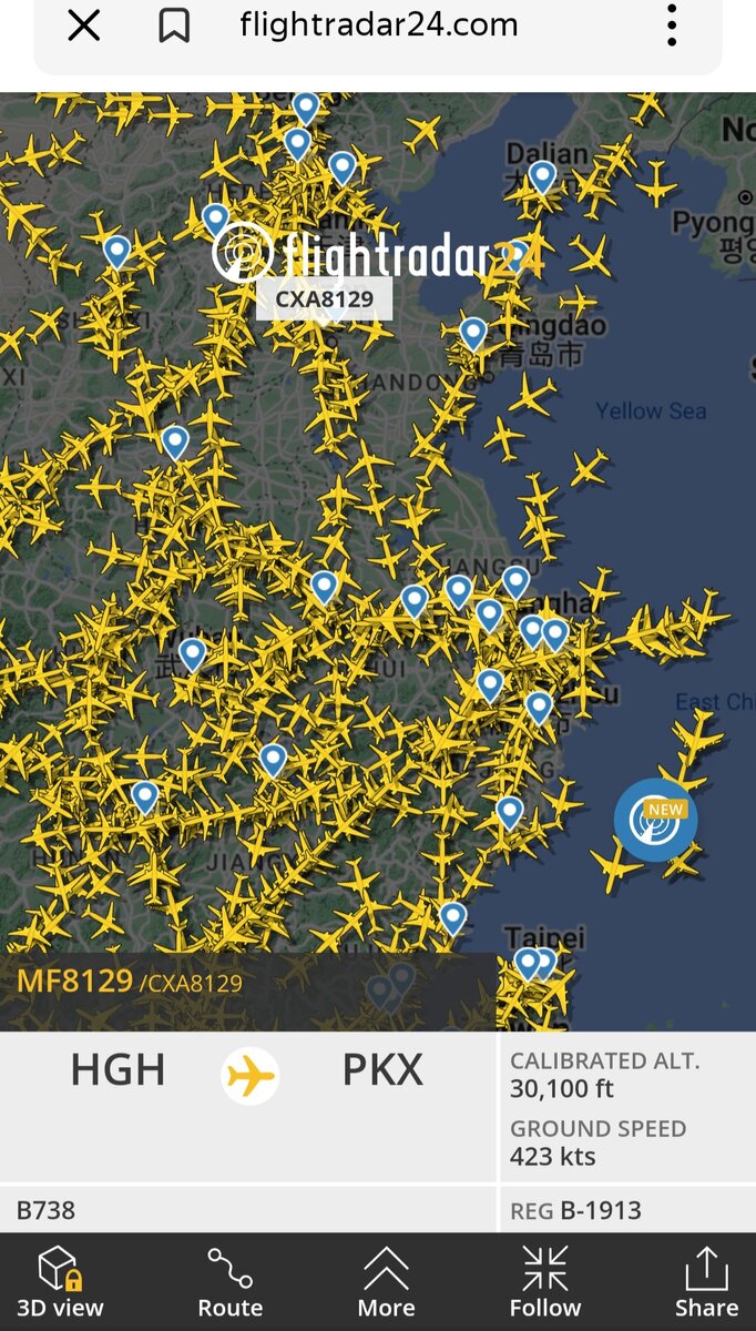 Посмотрите только)))сколько самолётов в данный момент времени выполняет свои рейсы!