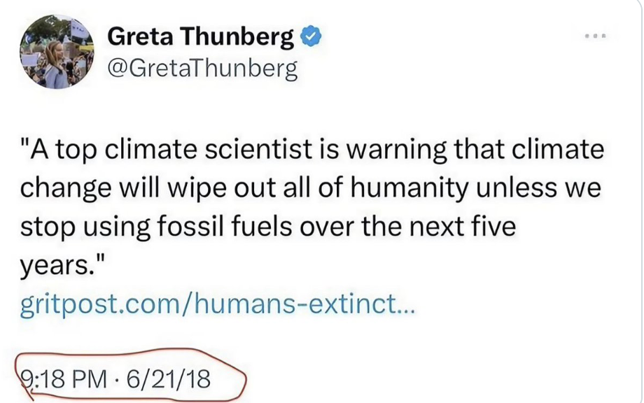 Скриншот: Предсказание конца человечества в ближайшие пять лет: Грета Тунберг 21 июня 2018 года.