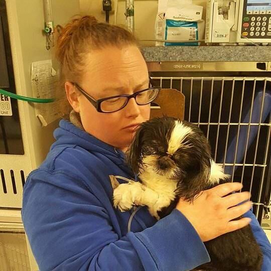 В клинике. Источник фото: https://news7g.com/the-vet-killed-the-dog-by-mistake-but-it-still-fights-for-survival-against-all-odds/