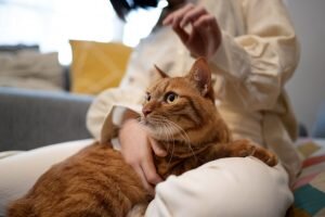    фото: freepik.com/freepik Мария Михайловская