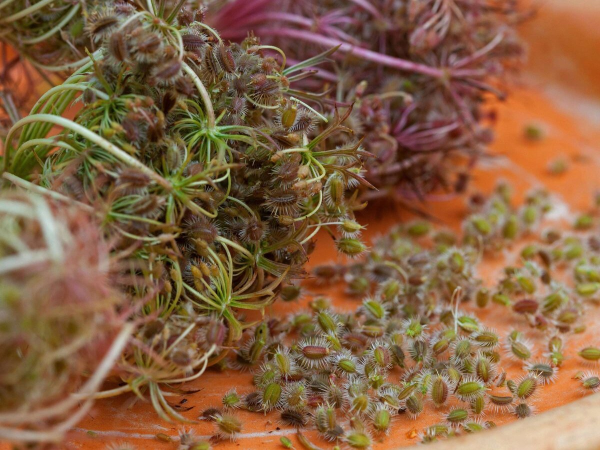 Фото: heidelberg24.de