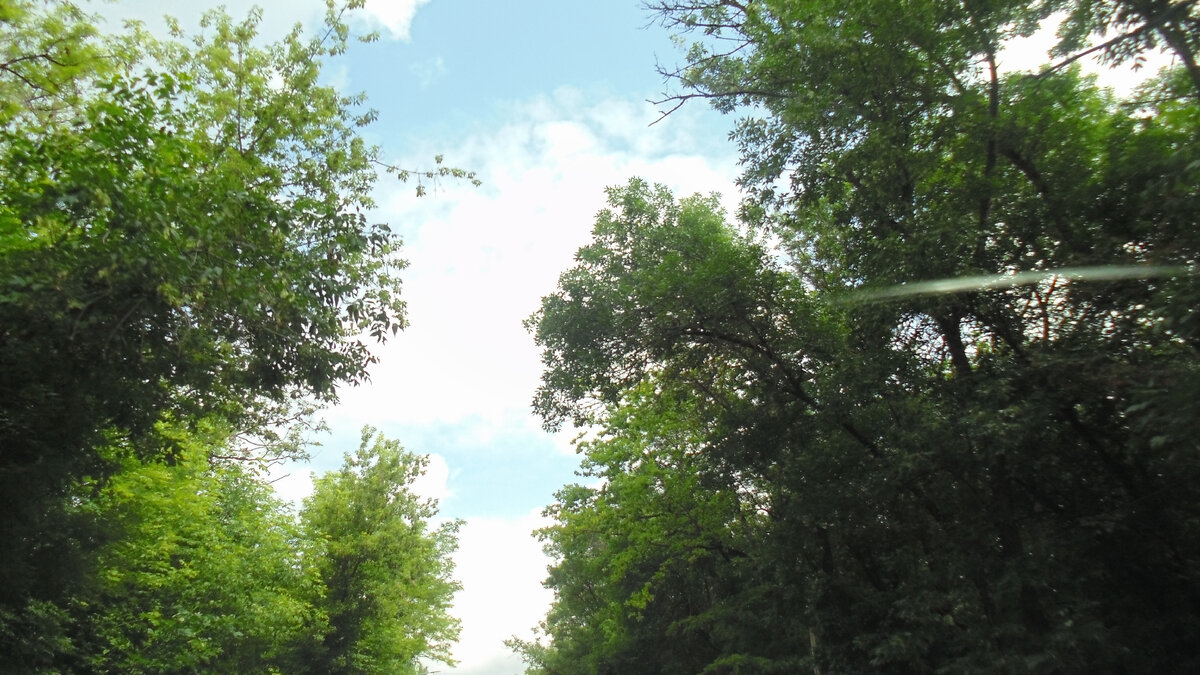 Каждому человеку после болезни очень хочется увидеть чистое небо и вздохнуть чистым воздухом. Фото автора