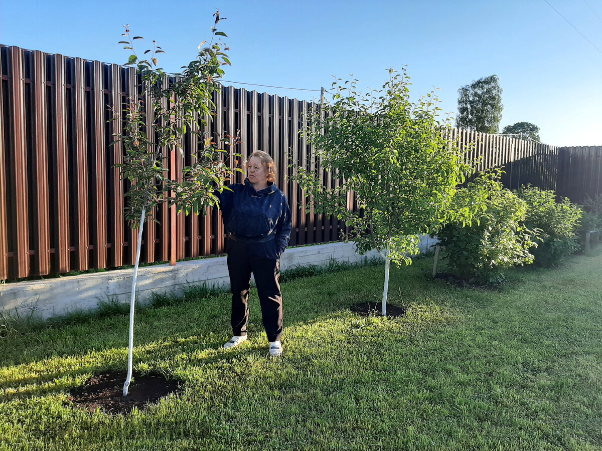 Добавьте описание