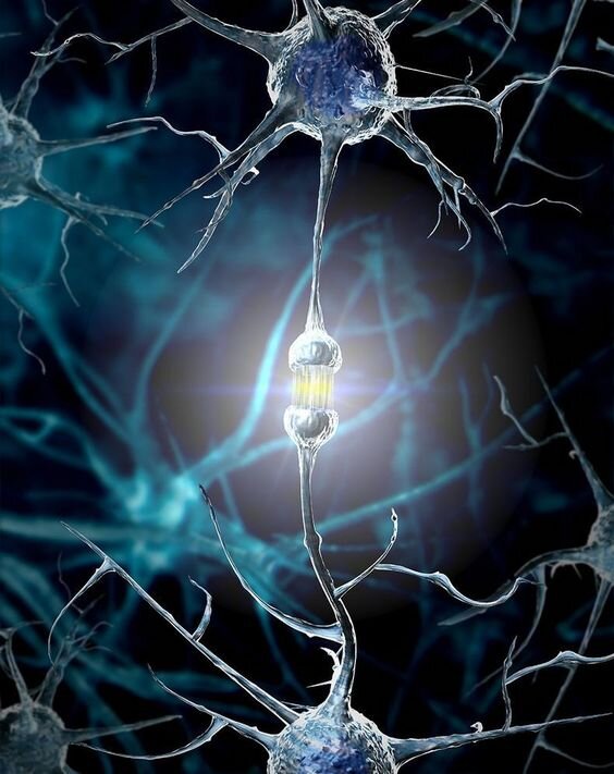 Нейронная связь