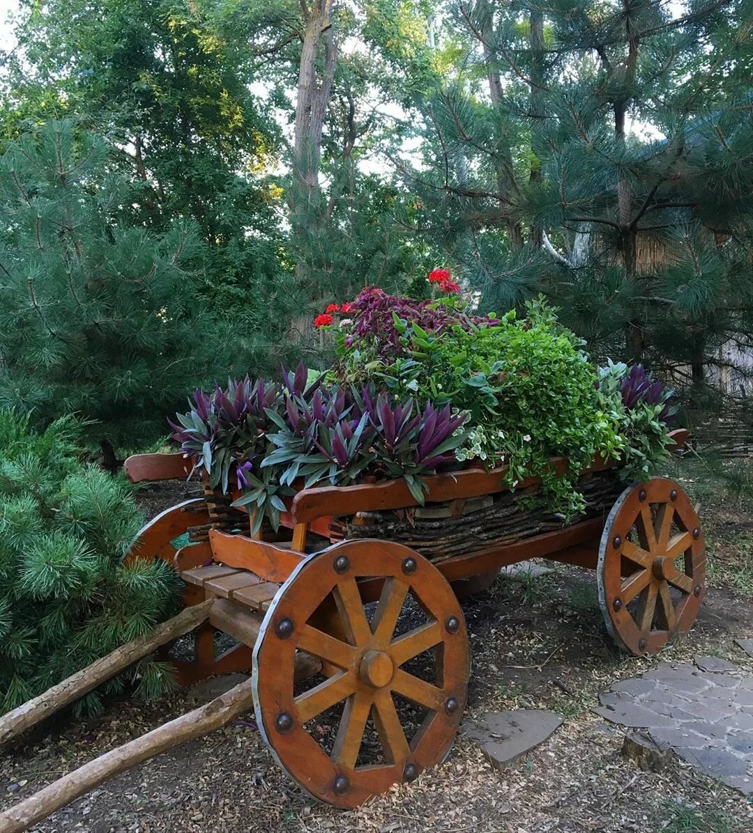 На тюменском Мысу завершился ежегодный конкурс на лучший палисадник