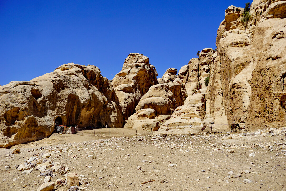 Вот такие "дома", например,  приткнуты к каждой скале. Или воткнуты в каждую скалу. Или совмещены с классической бедуинской палаткой.