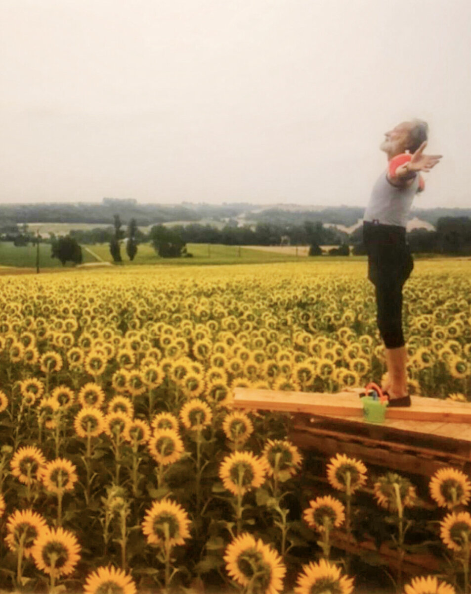 Много подсолнухов) 