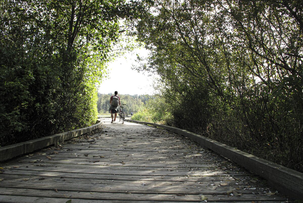 Изображение RaymondPoon с сайта Pixabay 