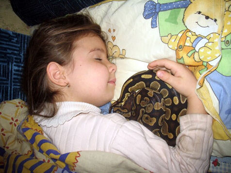 Фотография взята из источника (https://www.google.com/amp/s/spb.mk.ru/amp/articles/2012/12/26/792643-god-zmei-na-nas-ne-nashipit.html)