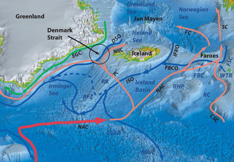 Океан между гренландией и исландией. Океанские течения. Норвежское течение. Водопад датского пролива. Карта течений норвежского моря.