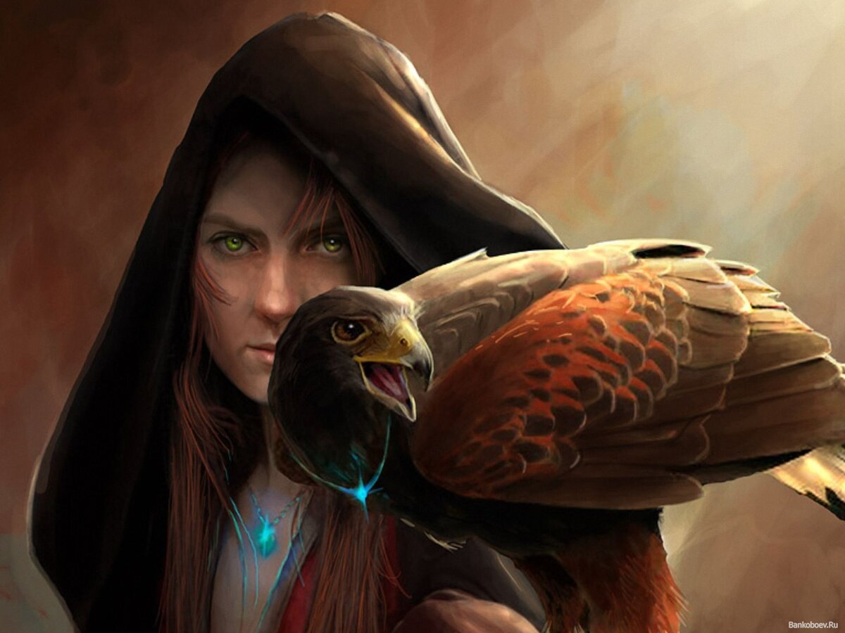 фото из интернета