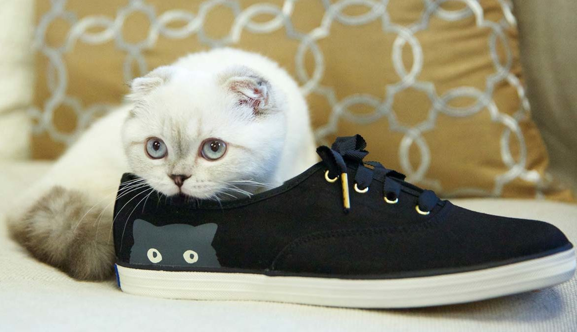 Фотография взята из свободного источника