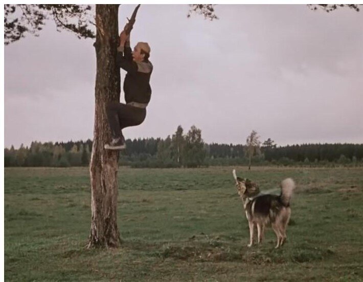 Кадр из комедии Гайдая «Пес Барбос и необычный кросс»