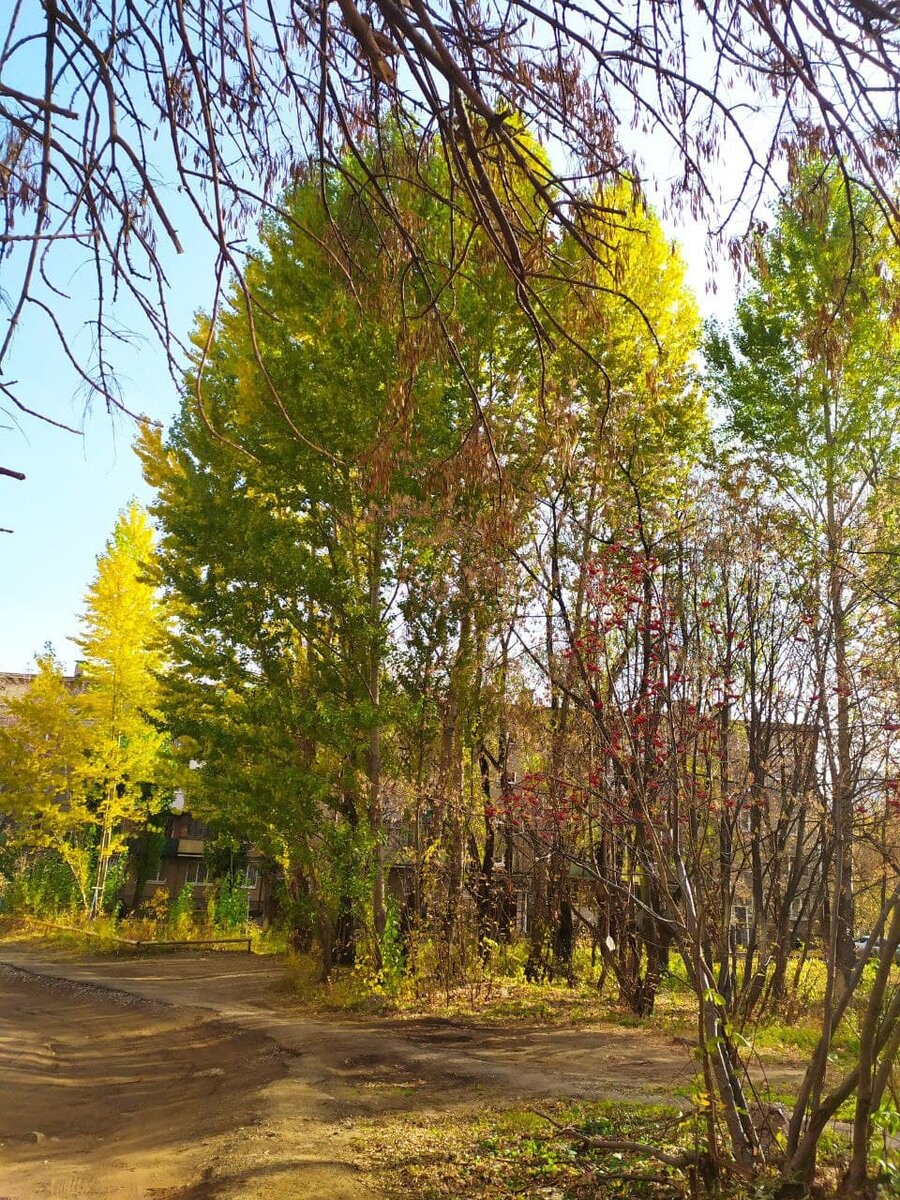 Доброго времени суток