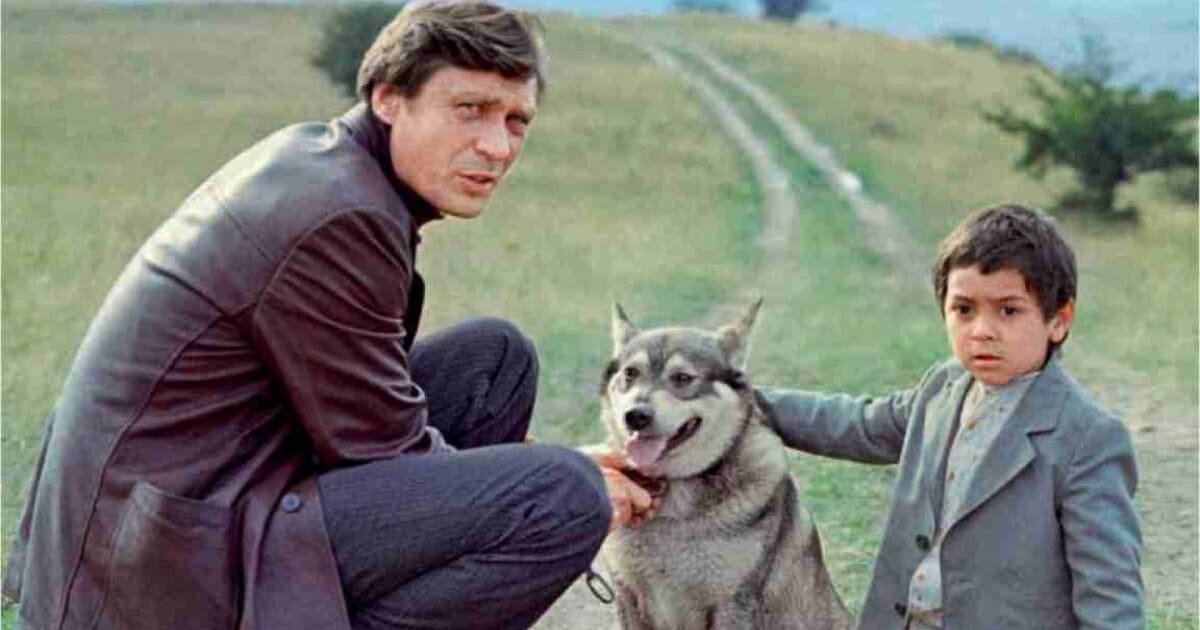 Кадр из фильма