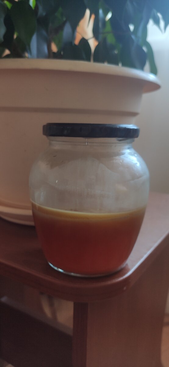 Готовая настойка.#мухомор 