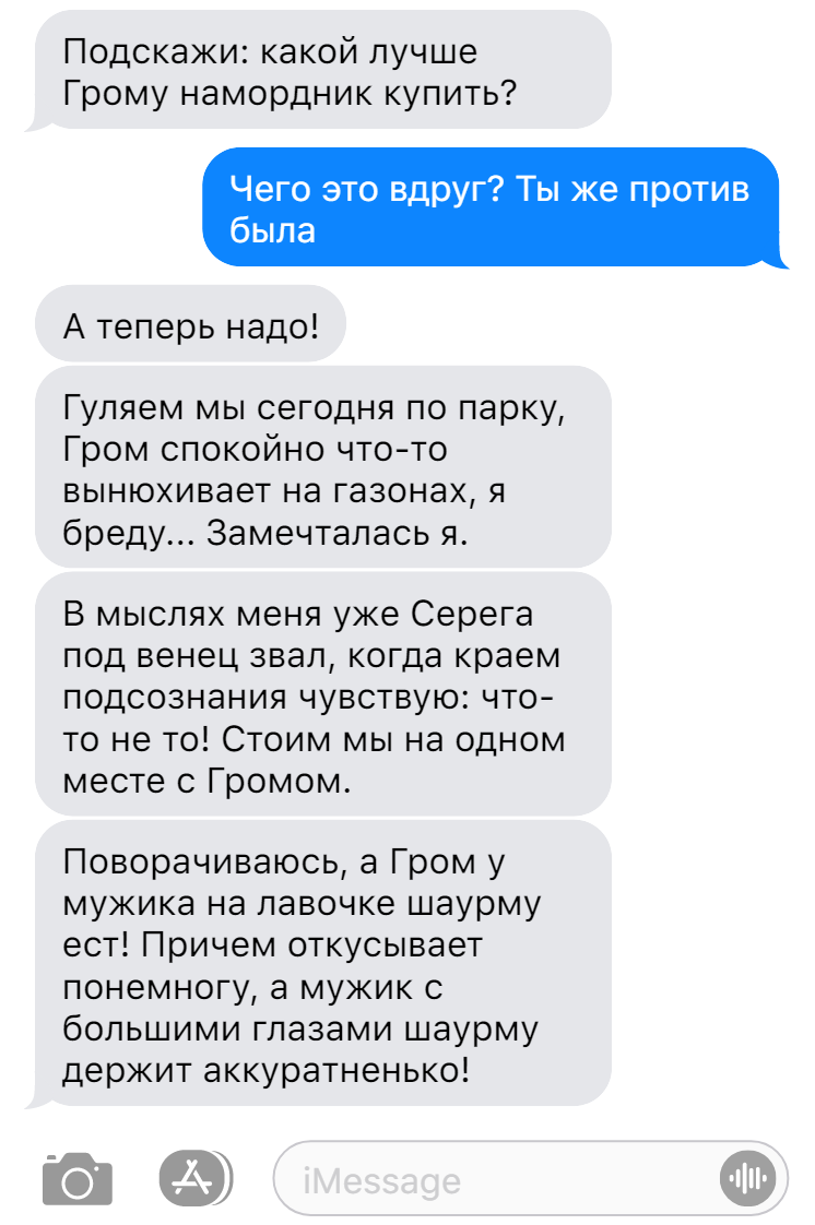 Записки ветеринара. Смешные переписки: когда хозяин отвлекся | СобачьЯ  жизнь | Дзен