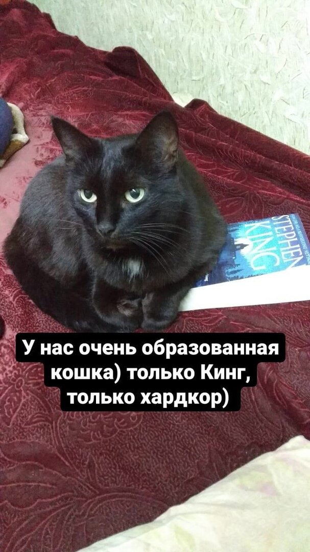 Кошки репетитора у меня нет. Есть только наша. Она теперь даже в инстаграме: @zapiski_repetitora. Мо