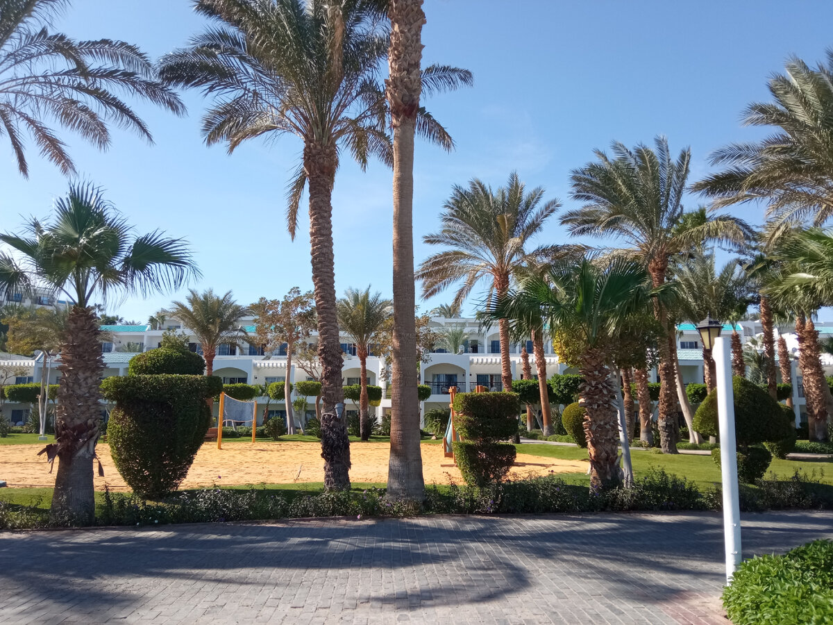 Египет, зима 2021. Из личного архива