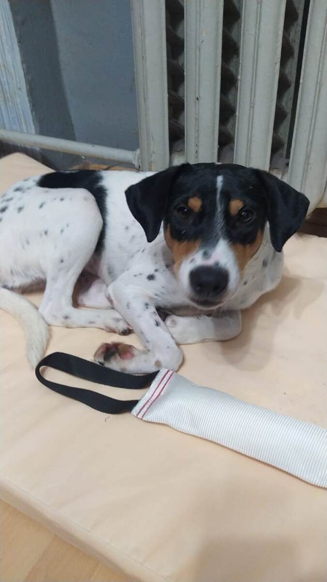 Наша "находка" у нового хозяина! 