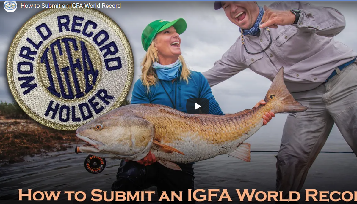 Основное видео как стать мировым рекордсменом IGFA