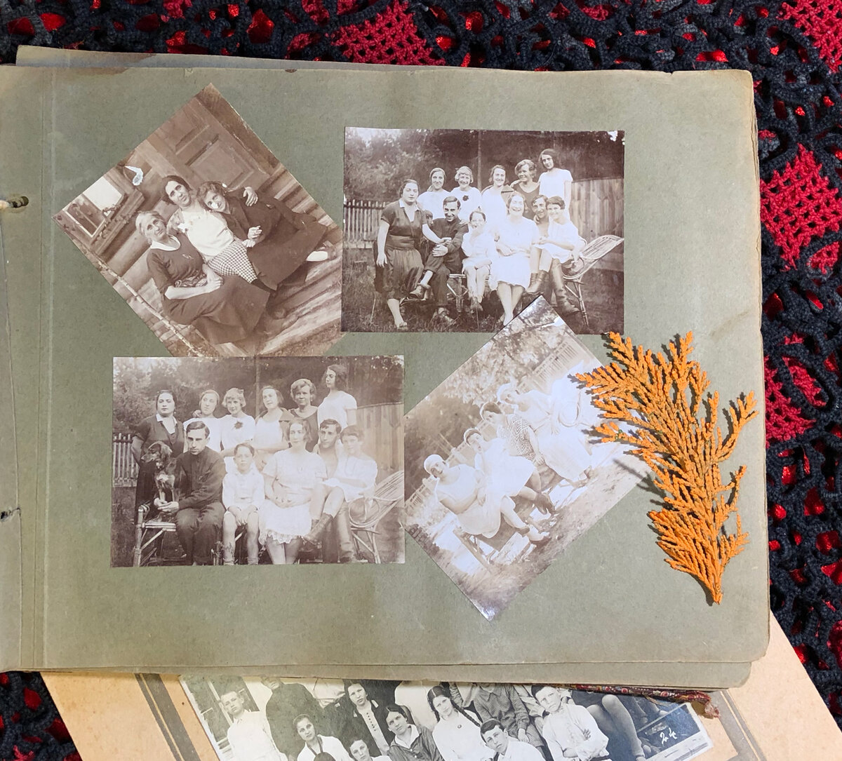 (с) Retrolooks коллекция