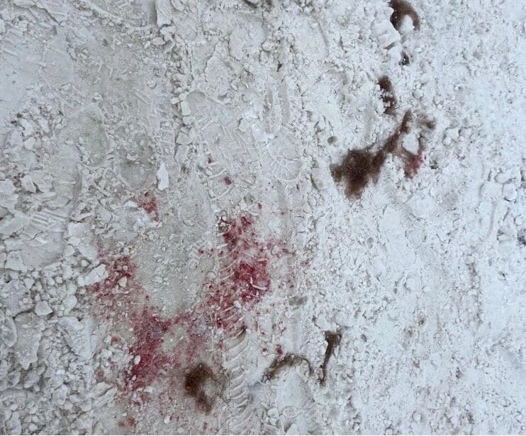 Фото с места происшествия