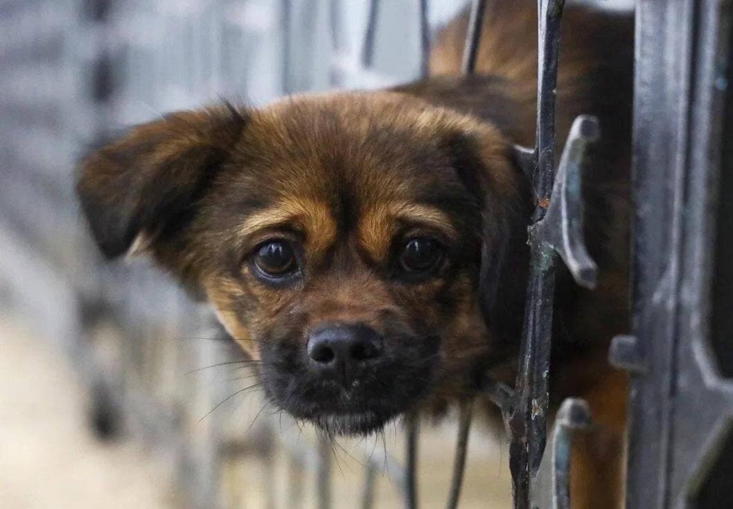 информационный центр правительства Тюменской области