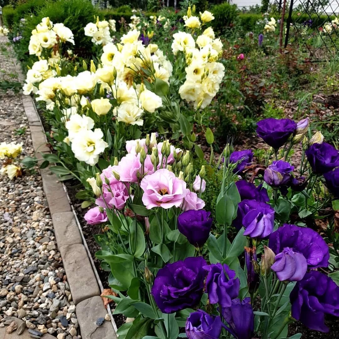 Взято из интернет источника