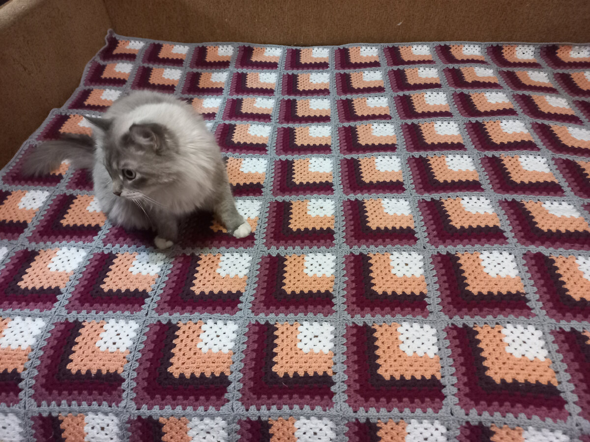 Даже кот офигел...