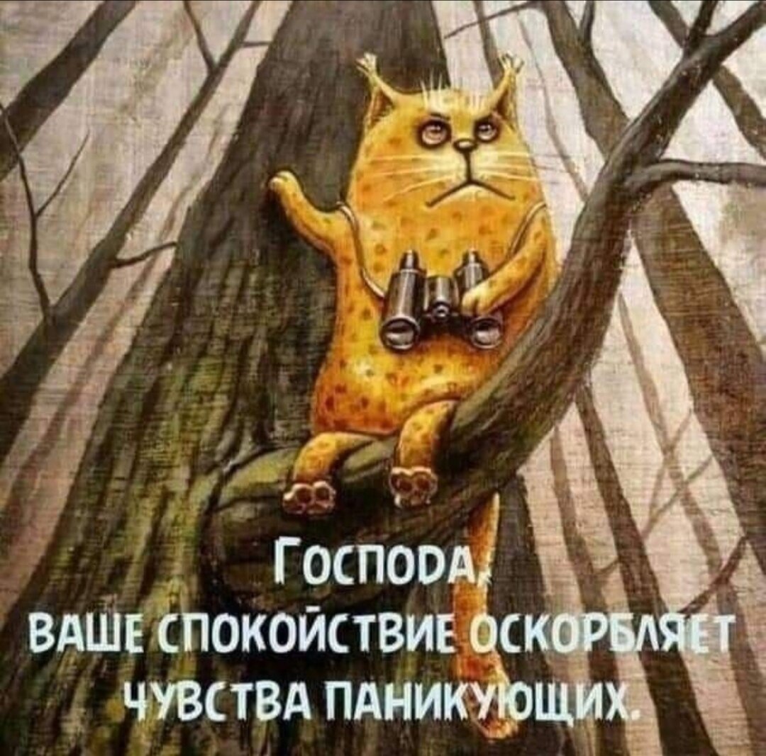 Картинка из интернета