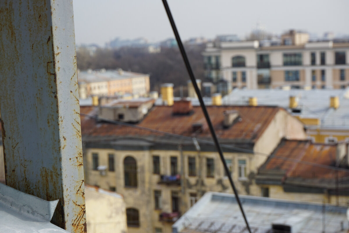 Вид с крыши в Санкт-Петербурге. Сегодня будущее представляется таким же неясным.