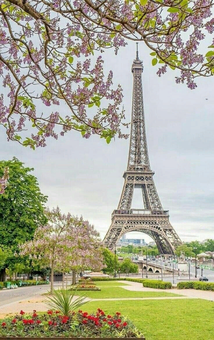 фото https://phonoteka.org/30826-parizh-jejfeleva-bashnja-art.html