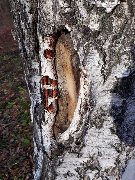 Нижний Новгород, 23 октября 2021