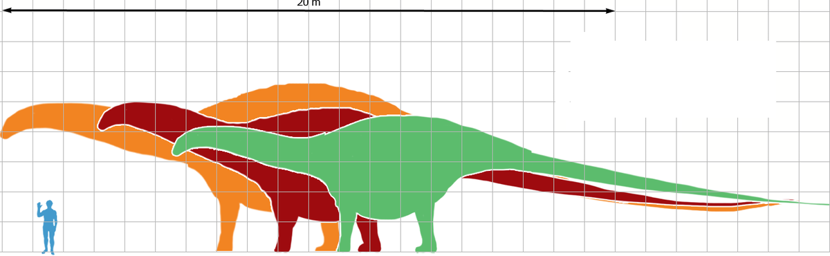 https://commons.wikimedia.org/wiki/File:Apatosaurus_scale_mmartyniuk_wiki.png#/media/File:Apatosaurus_scale_mmartyniuk_wiki.png