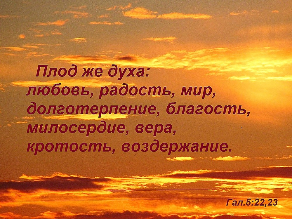 стяжание благодати святого духа. цитаты симеона нового богослова. благодать символ. господня благодать. о благодати божией.