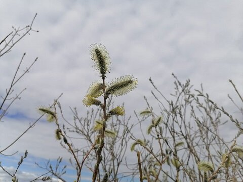 Фотография из личного архива автора