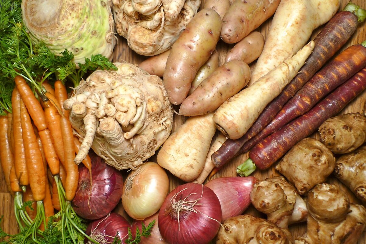 овощи группы корнеплодов. клубнеплоды, корнеплоды, капуста. редис. продолжите перечень корнеплодов морковь. у каких овощей в пищу идут корнеплоды.
