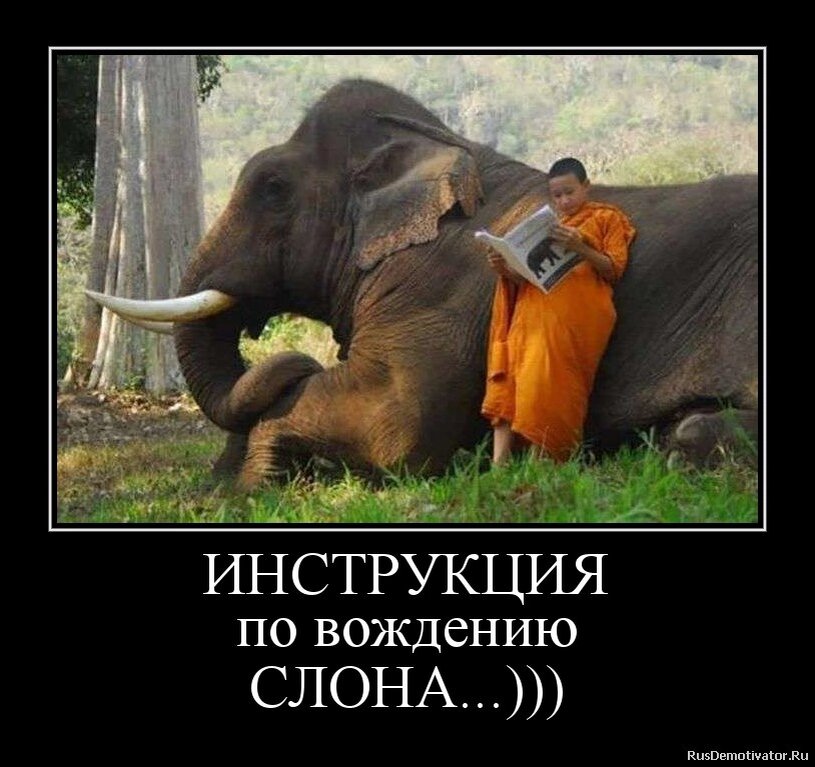 Вот, что б по улицам водить