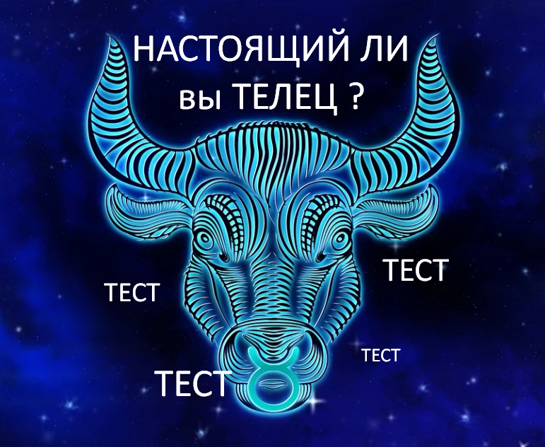 Фото в свободном доступе с pixabay.com