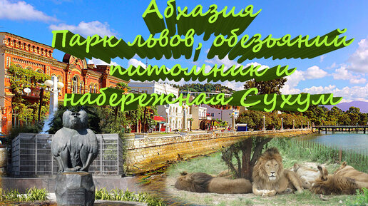 🌴Абхазия 🌴 Парк львов 🌴 Обезьяний питомник 🌴 набережная Сухум 🌴