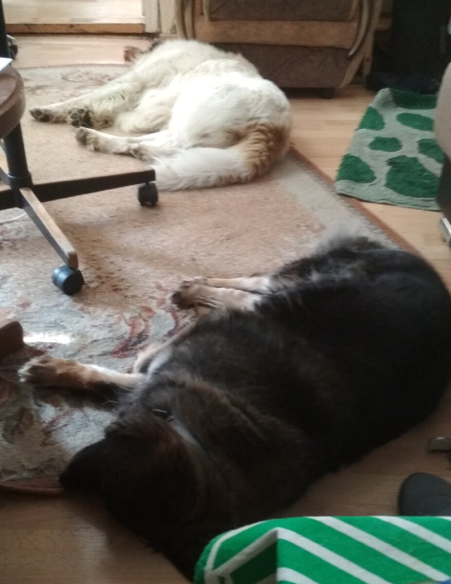 Вот так это выглядело зимой