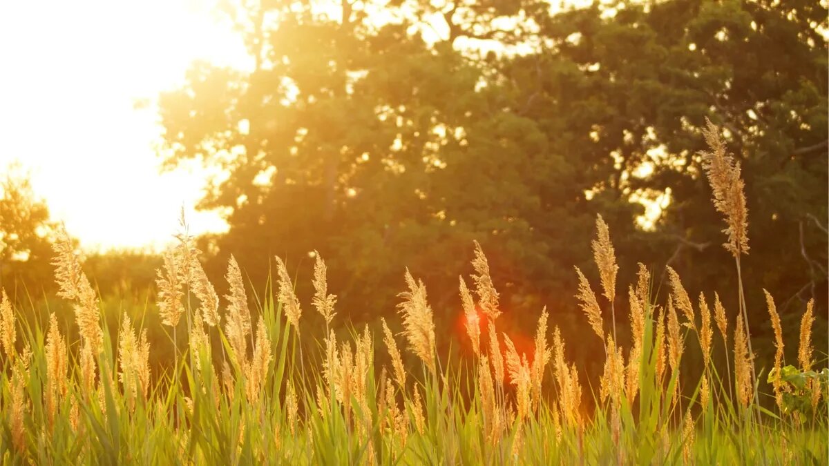 Магнитные бури могут быть непредсказуемыми. Фото: Pexels.com 