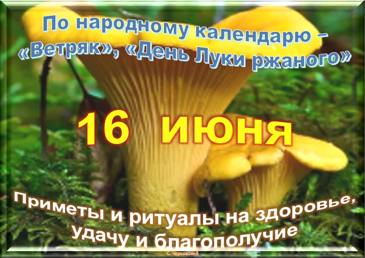 Встречаем новый день