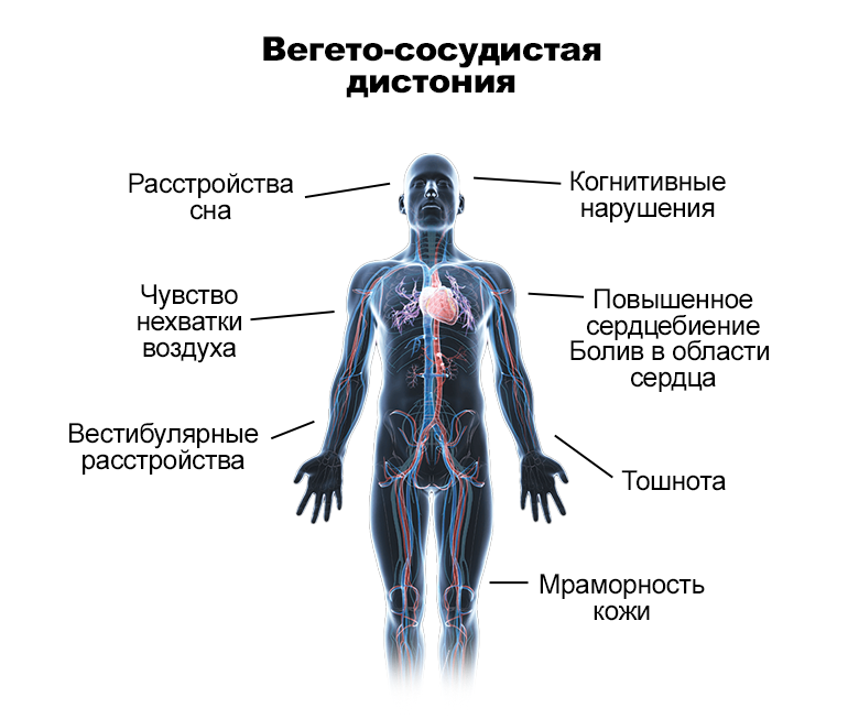 Здоровый образ жизни
