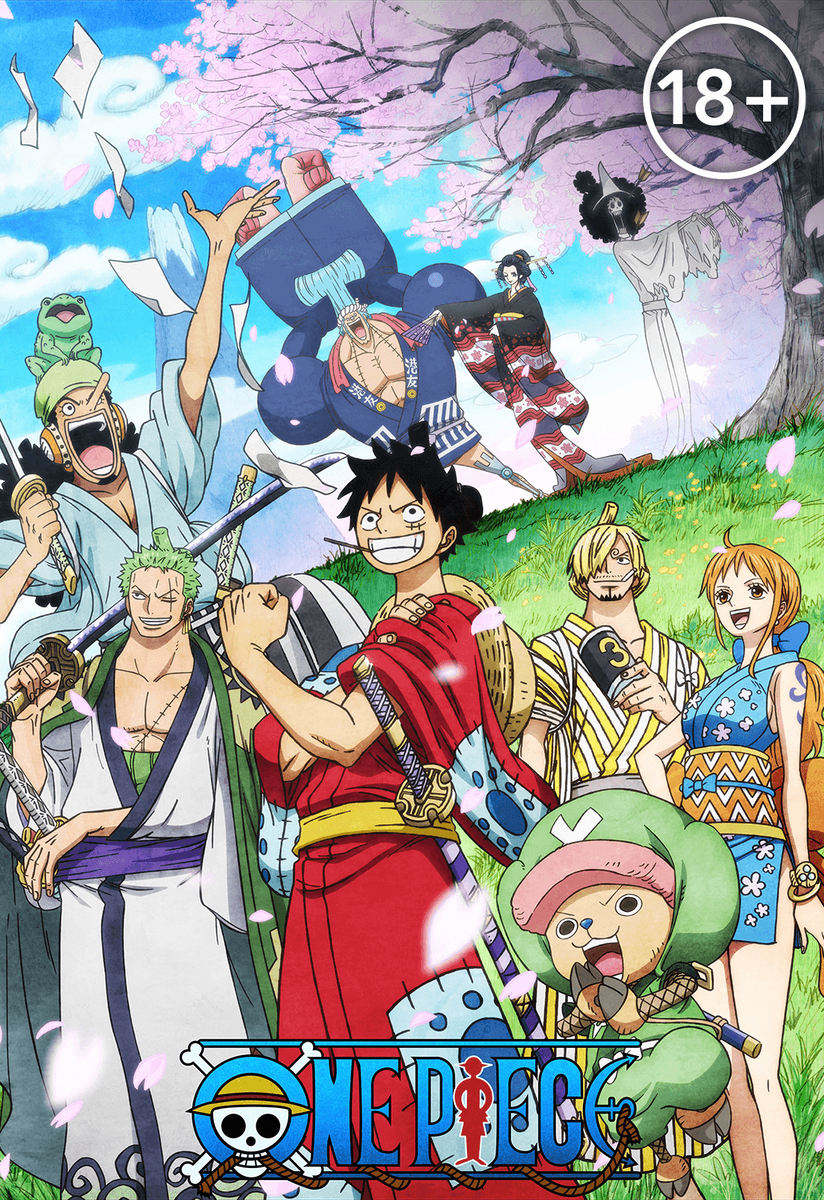 One piece очень разнообразен, не просто так появился один из мемов с тем что Ода(Эйттиро Ода) являеться Гением. Он смог создать удивительный мир полон секретов и захватывающих впечатлений. Самое  главное что дух от их путешествия становиться все  интереснее.Этот сериал я считаю одним из лучших, в нём нет скучных и нудных серий, всё смотреться с большим интересом, очень много смешных или обычной деятельности команды, Санджи готовит обед, Усопп рыбачит или создаёт одно из своих изобретений, Нами сверяет маршрут или пьёт коктейль, Зоро спит или тренируется, а Луффи сидит на своём любимом месте, на носу корабля и смотрет на встречу приключением 
