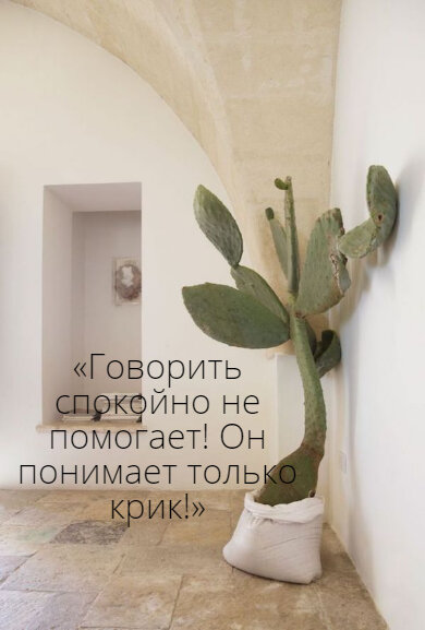 Читайте дальше, если это знакомая фраза