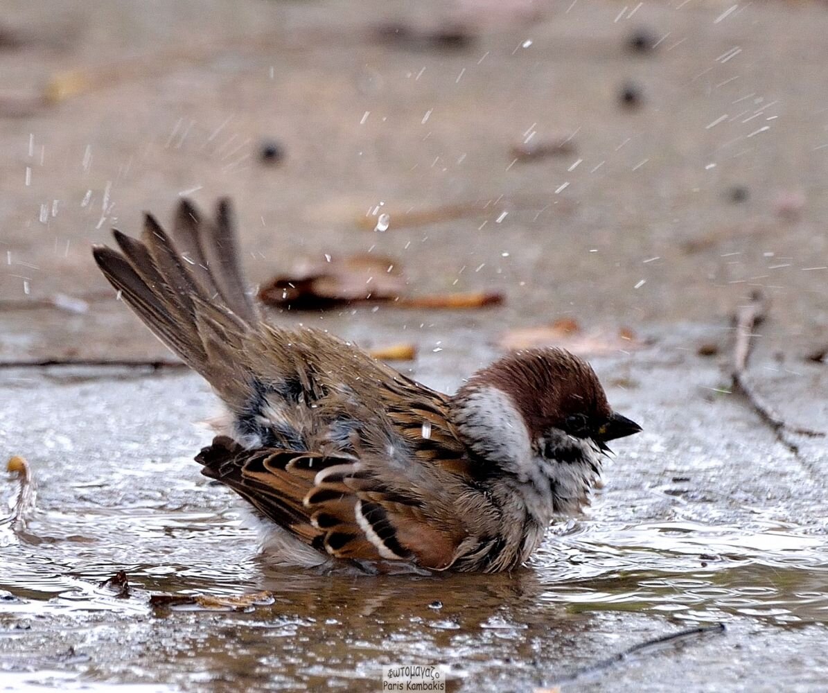 Источник: https://clck.ru/rxzqu