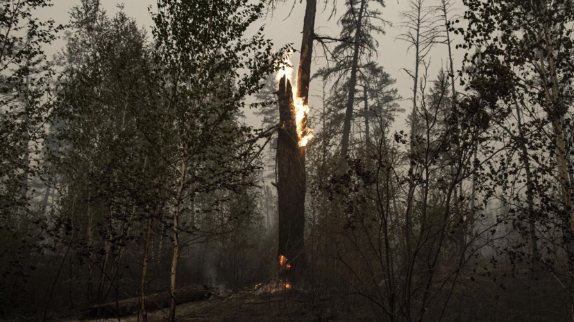    РИА Новости / Валерий Мельников