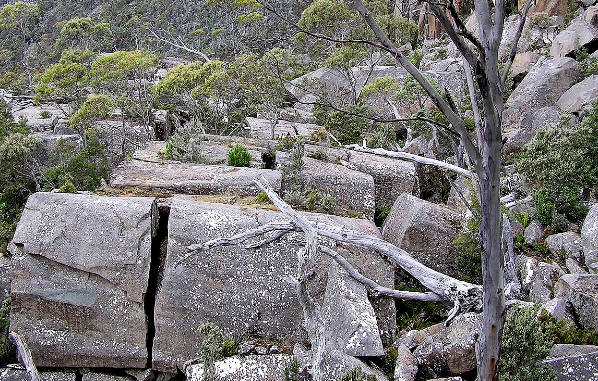 Фото: http://russkievesti.ru/novosti/istoriya/megalityi-i-kamennyie-obrazovaniya-avstralii.html